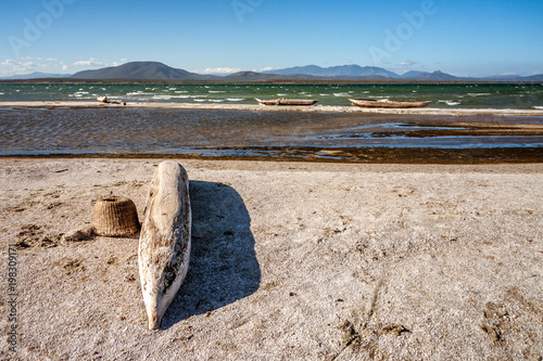 Fishing boats on the salted lake photo