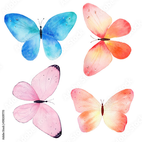 Watercolor hand painted collection of colorful butterflies on white background.