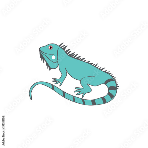Cartoon cute iguana, wild exotic animal vector colorful illustration, little reptile isolated on white background, decorative gesko, Education for children ABC zoo alphabet, character design, mascot © m_e_l