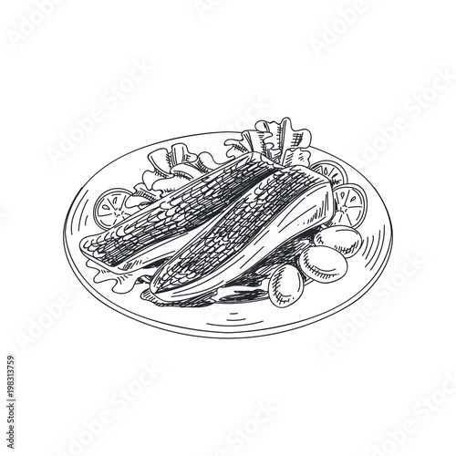 Beautiful vector hand drawn seafood Illustration.