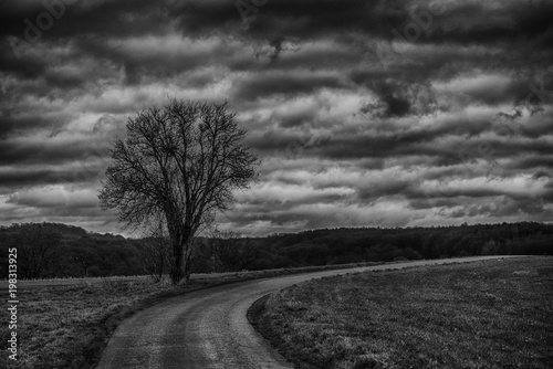 Εκτύπωση καμβά Following the way