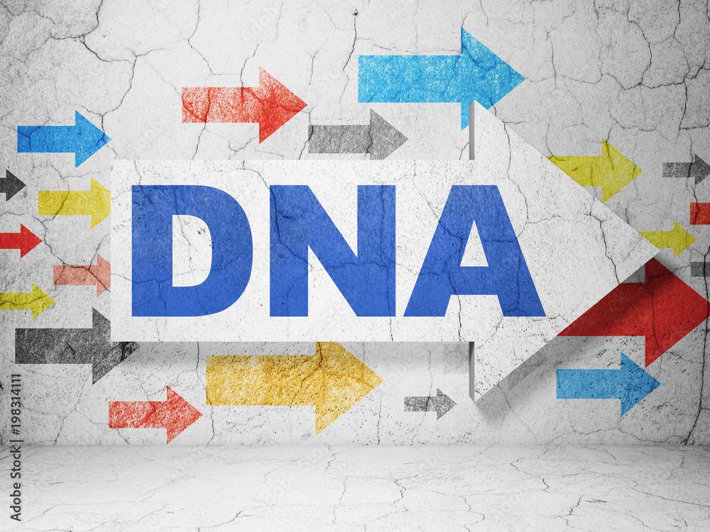 Medicine concept:  arrow with DNA on grunge textured concrete wall background, 3D rendering