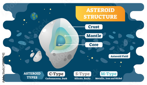 Asteroid structure cross section and asteroid types vector illustration diagram. photo