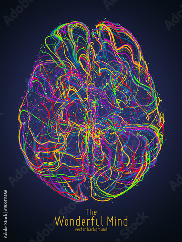 Fototapet Vector colorful illustration of human brain with synapses