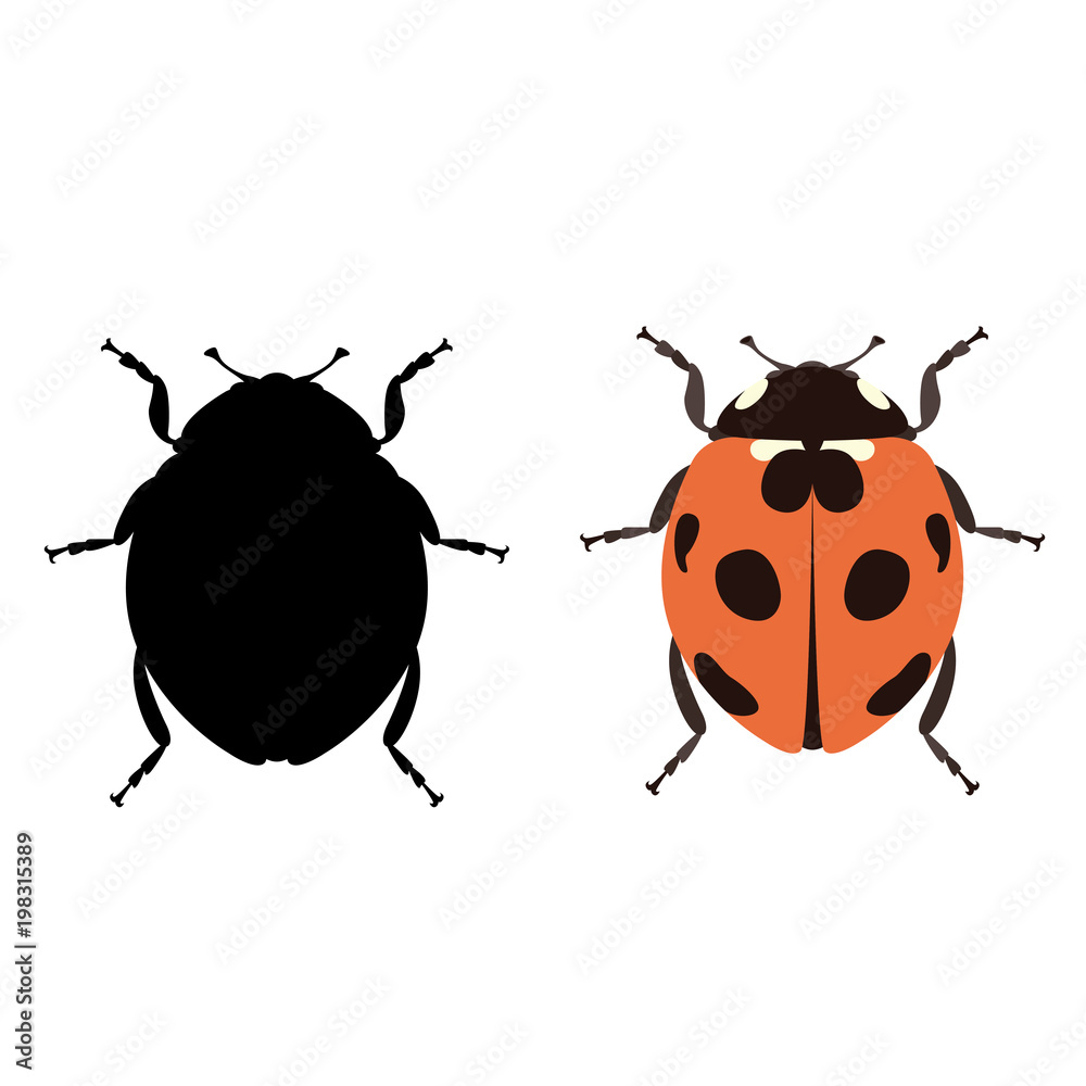 Fototapeta premium ladybug vector illustration flat style black silhouette
