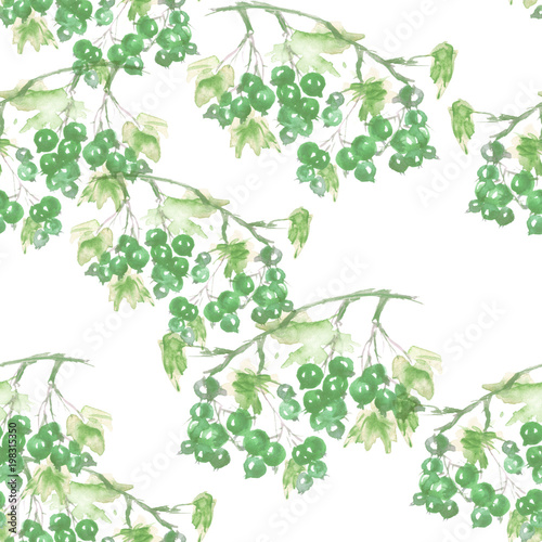 Seamless watercolor background with an even branch of currant  berries  Green grapes  leaves. Beautiful vintage floral pattern. Green branch with berries of currant. For textiles  paper  design.