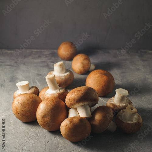 Button mushroom - swiss brown champignons royal on a gray background. Food macro photo