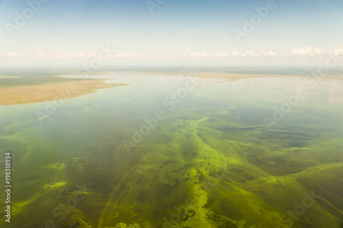 aerial image of green algae in a lake in the province of Jujuy