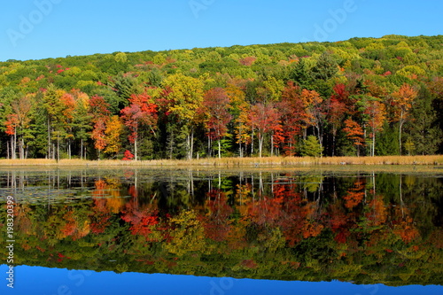 Vivid autumn foliage reflected in a calm lake surrounded by a dense forest under a clear blue sky in Stockbridge, Massachusetts