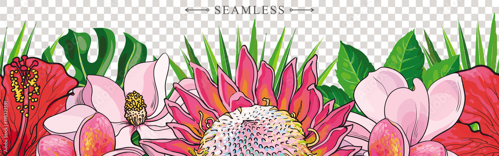Fototapeta premium Tropical flowers border seamless pattern in sketch style on transparent background. Hand drawn exotic blooms of hibiscus, protea, magnolia and plumeria. Vector illustration.