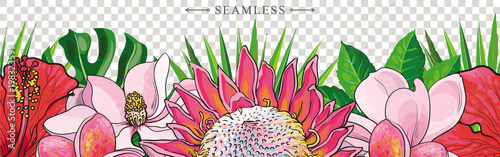Tropical flowers border seamless pattern in sketch style on transparent background. Hand drawn exotic blooms of hibiscus, protea, magnolia and plumeria. Vector illustration.