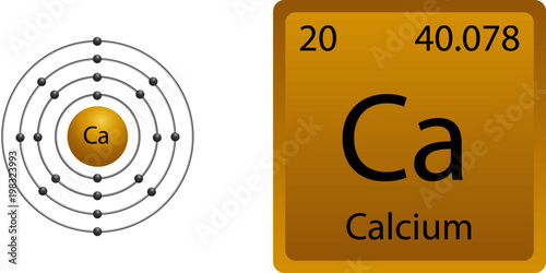 Calcium Atom Shell
