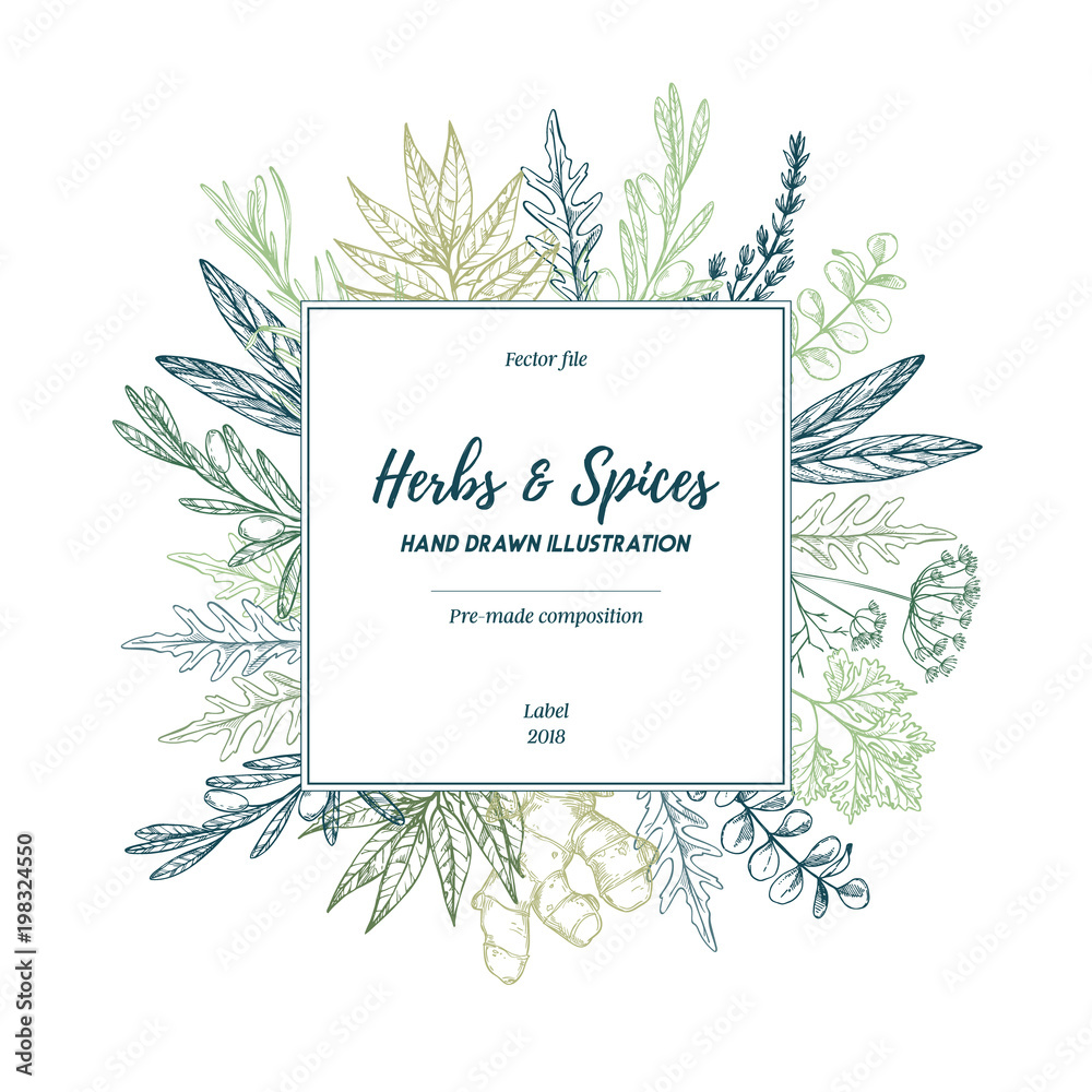 Hand drawn vector illustration. Lable with herbs and spices (sage, tarragon, ginger). Herbal pre-made composition. Perfect for menu, cards, prints, packing, leaflets