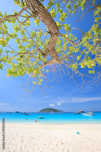 Fototapeta Naklejka Na Ścianę i Meble -  Bright tropical island on sunny summer.