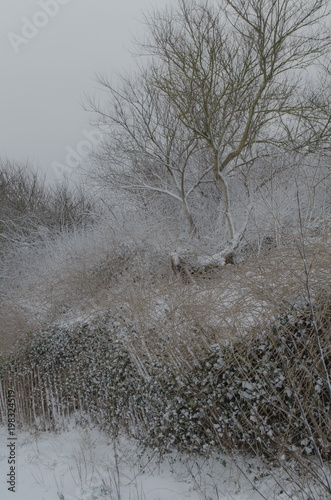 Wallpaper Mural Snowy Dunes Torontodigital.ca