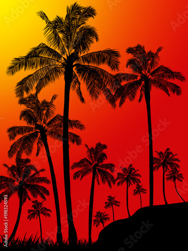 Palm trees forest portrait background