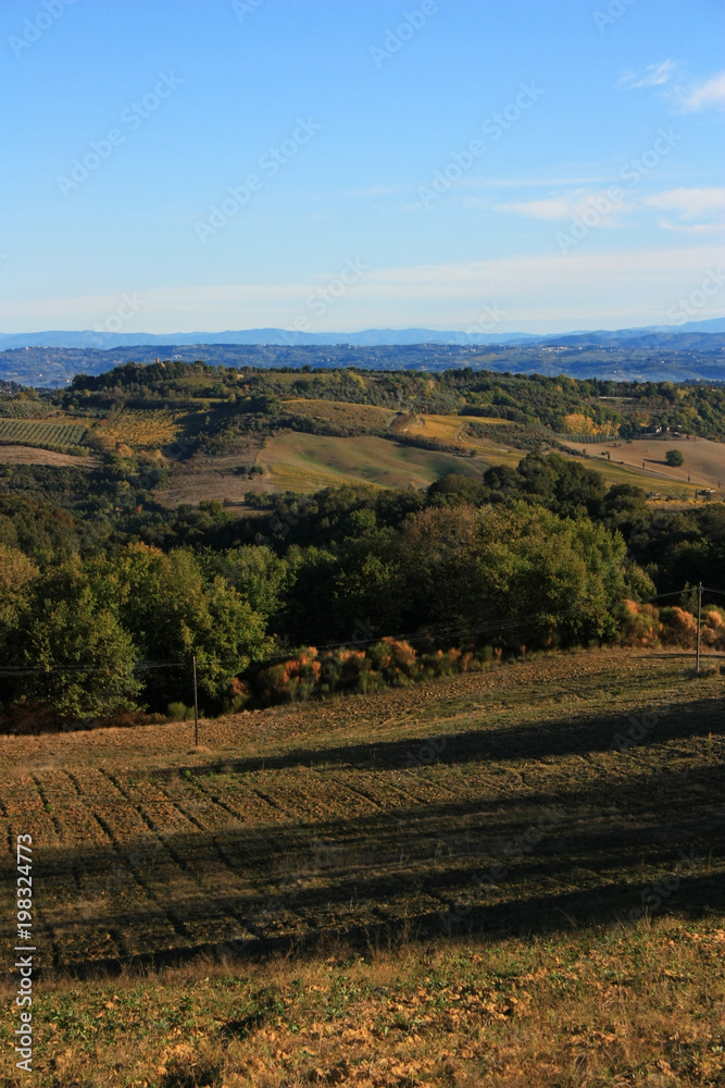 Cultivated fields in Tuscany, Italy