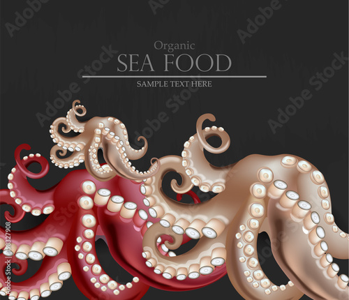 Fresh octopus Vector realistic. 3d detailed illustrations