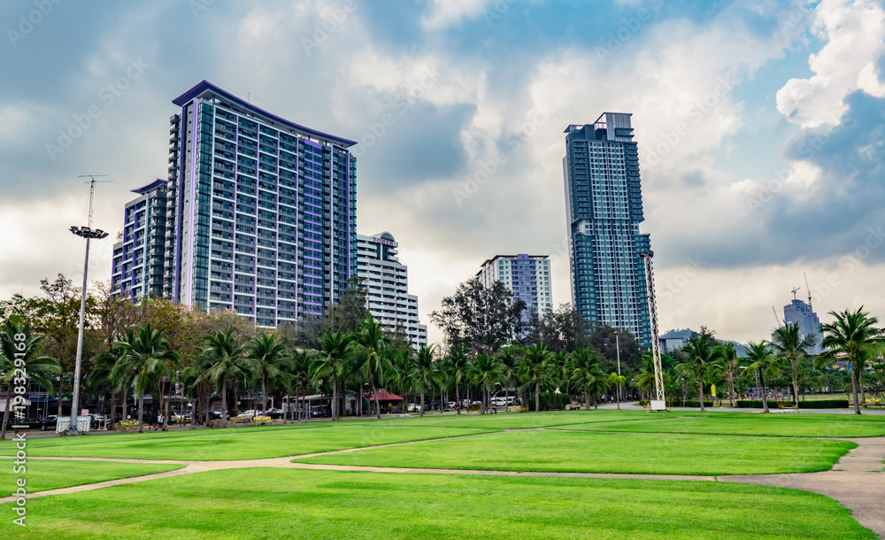 Green grass field, pedestrian road and coconut trees at the city park beside the sea. Modern building background