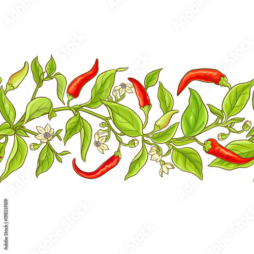 cayenne pepper vector pattern