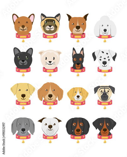 group of dog breeds and cat