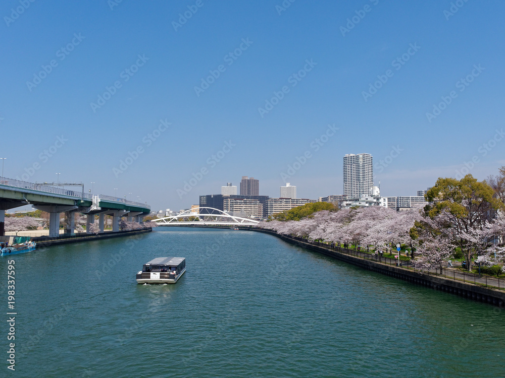 春の大阪 桜之宮公園と飛翔橋