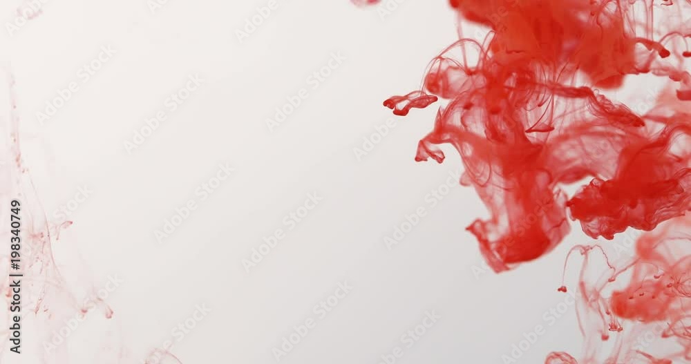 Close up red colored drop in water , abstract motion movement of watercolor ink splashing background , 4K Dci resolution