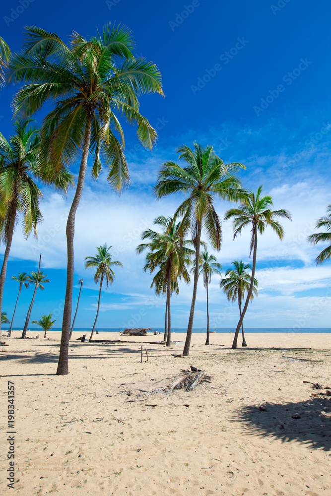 beach and tropical sea beach and tropical sea