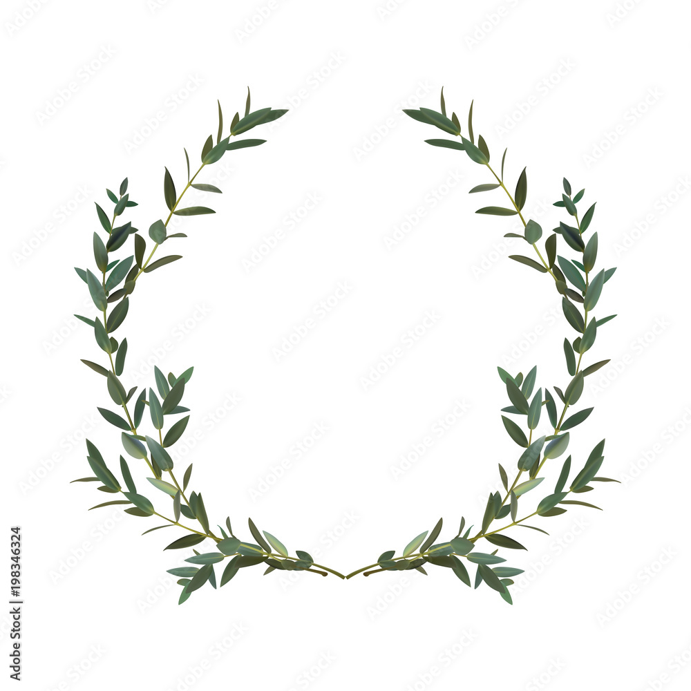 Thyme leaf green wreath Vector isolated Medicinal set of leaves 