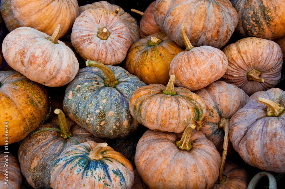 Pumpkin, agricultural produce sold at the market.