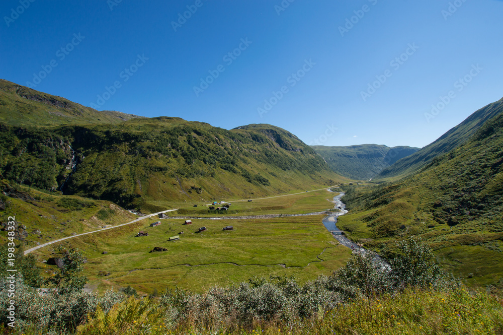 Fototapeta premium road in norway