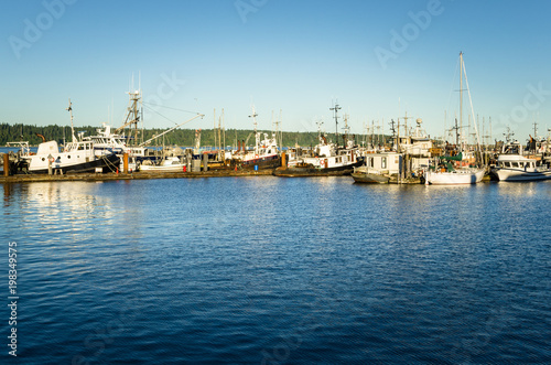 Tug Boats Boats in Harbour at Sunset. Campbell River, BC, Canada. © alpegor