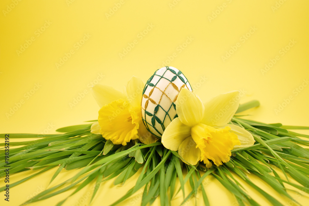 Easter egg with daffodils stock images. Yellow daffodils with grass on a yellow background. Easter decoration on a yellow background. Spring decoration images. Decorated egg with a flower Easter egg with daffodils stock images. Yellow daffodils with grass on a yellow background. Easter decoration on a yellow background. Spring decoration images. Decorated egg with a flower