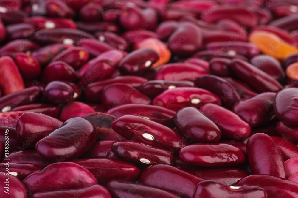 Abstract background: purple legume beans Abstract background: purple legume beans