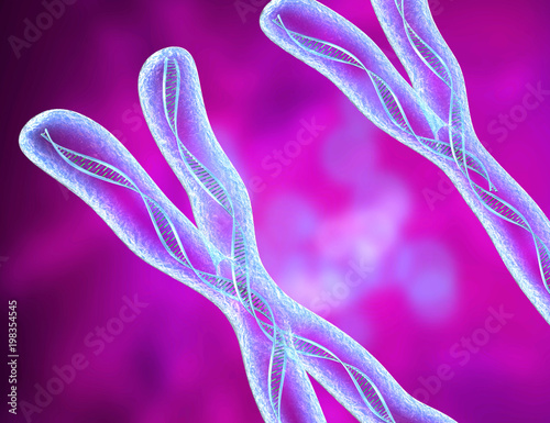 Chromosome x and y, DNA Strands molecule 3D illustration