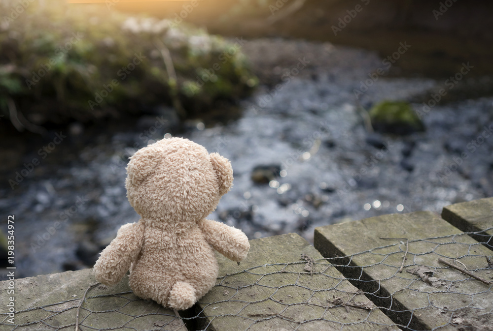 Rear view Teddy bear sitting on wooden bridge and looking at canal in  evening. Lonely teddy sitting alone Stock-Foto | Adobe Stock
