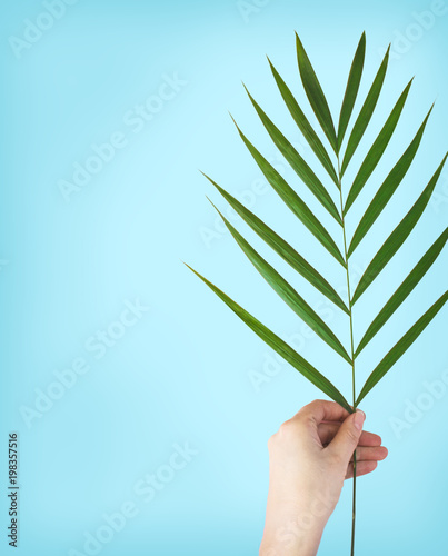 Female hand with tropical leaf at blue background with copy space