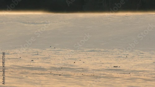 strong winds moving clouds of sand in sand dunes nature resreve photo