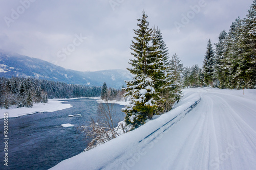 Beautiful outdoor view of river full with pieces of ice floating in the water with a pines trees at the riverside, wild nature in Norway photo