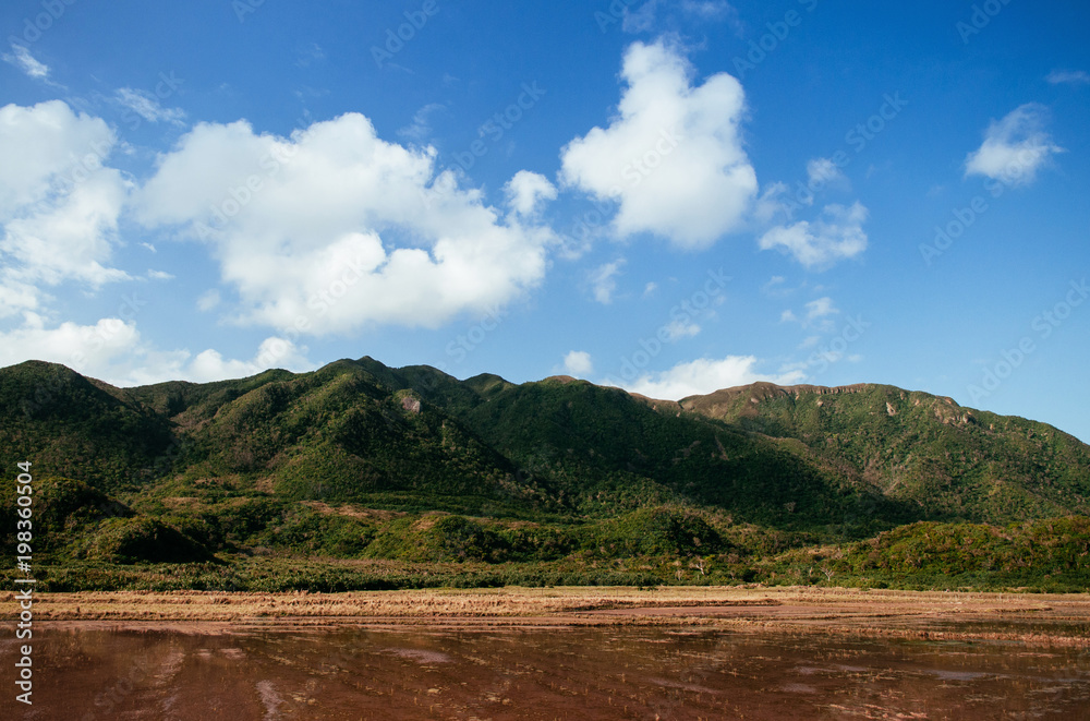 Scenery of tropical forest mountain Iriomote island, Okinawa Scenery of tropical forest mountain Iriomote island, Okinawa