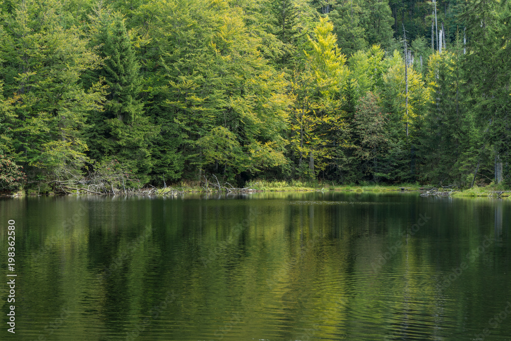 Stausee Martinsklause im Bayerischen Wald Stausee Martinsklause im Bayerischen Wald