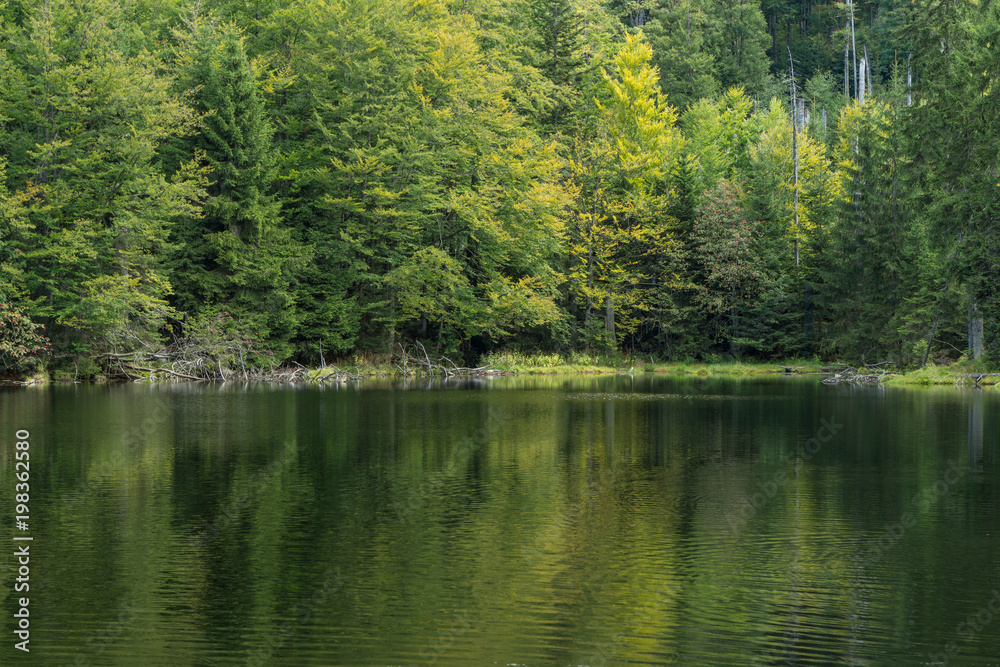 Stausee Martinsklause im Bayerischen Wald