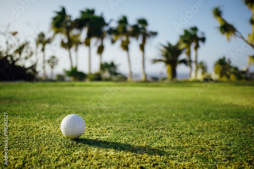 golf ball on green grass, palm trees background