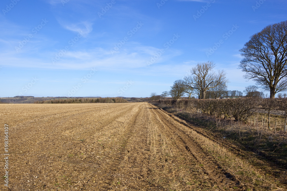 winter agricultural farmland