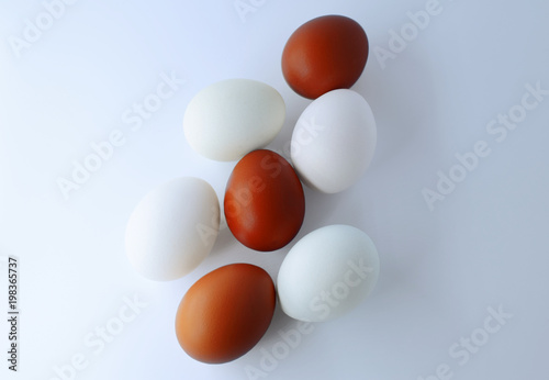 red and white eggs on a white background
