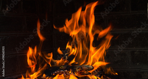 Bonfire on black background,Wildfire,Forest fire,Fire flames,Arson or nature disaster,Blackground