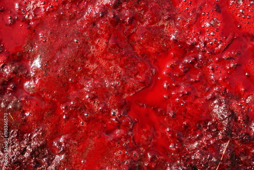 blood red as the background. close up