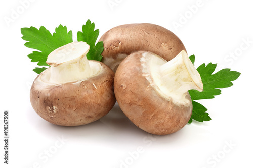 Royal Brown champignon with parsley leaf isolated on white background