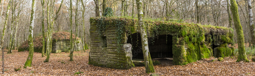 Concrete buidlings in the forest at Camp Marguerre, world war I site near Verdun