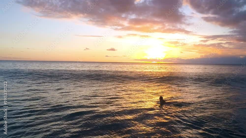 Young woman paddling at surfboard in ocean Young woman paddling at surfboard in ocean